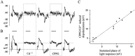 Fig. 7.