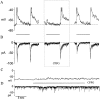 Fig. 9.