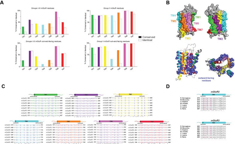 Figure 2—figure supplement 1.