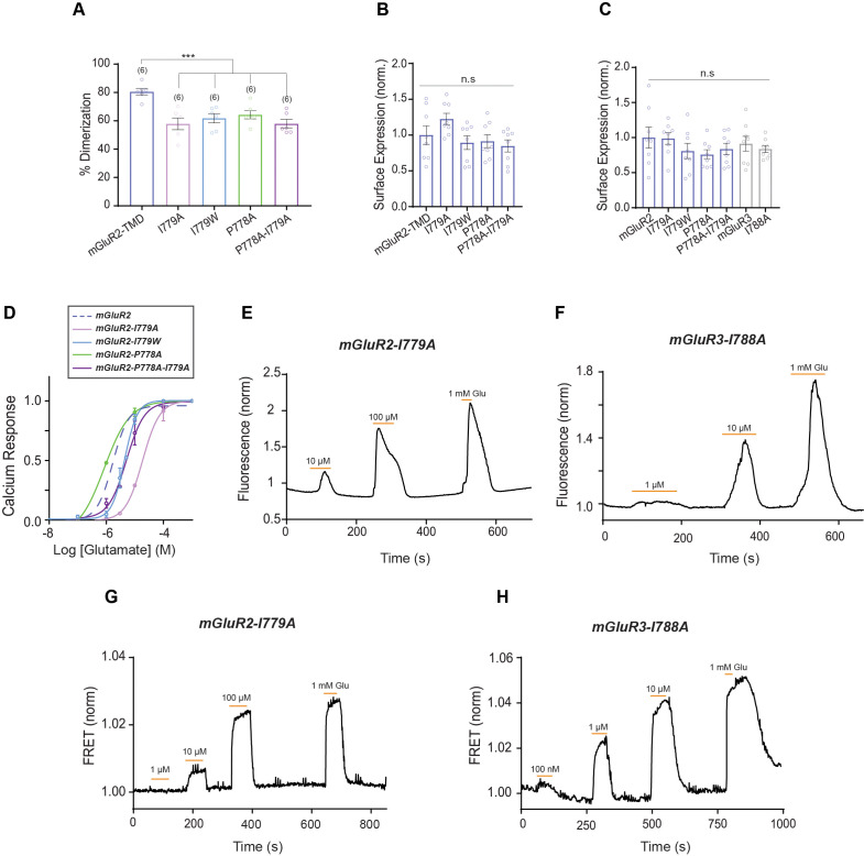 Figure 5—figure supplement 1.