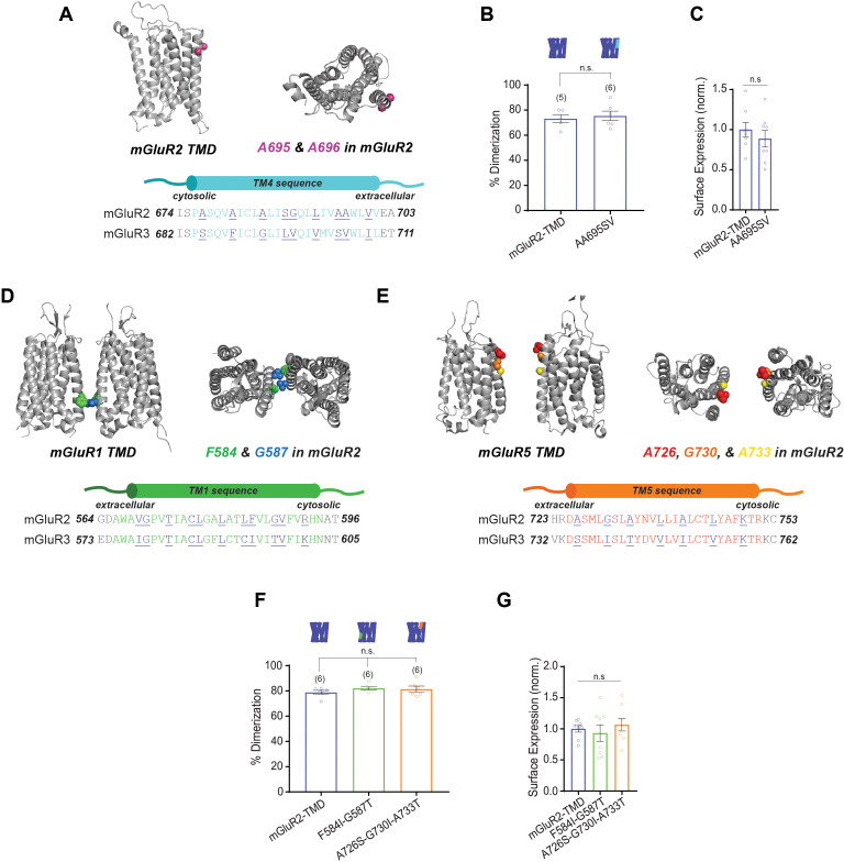 Figure 2—figure supplement 5.