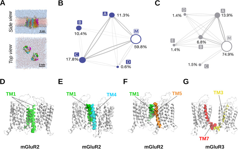 Figure 1—figure supplement 4.