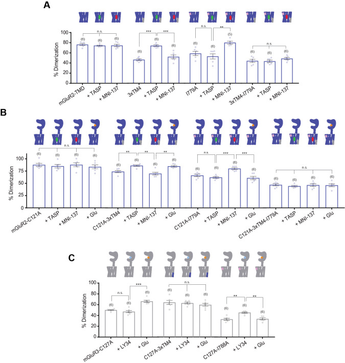 Figure 6—figure supplement 1.