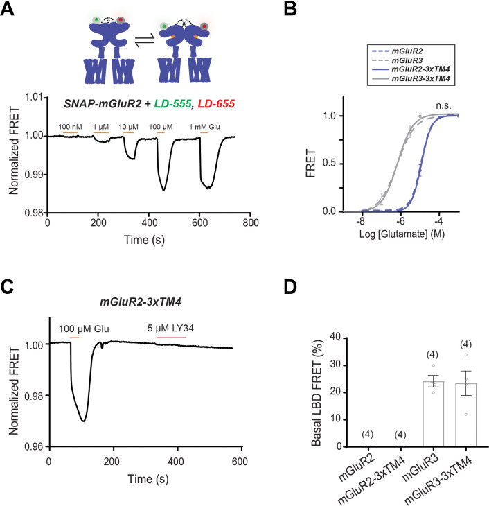 Figure 4—figure supplement 1.