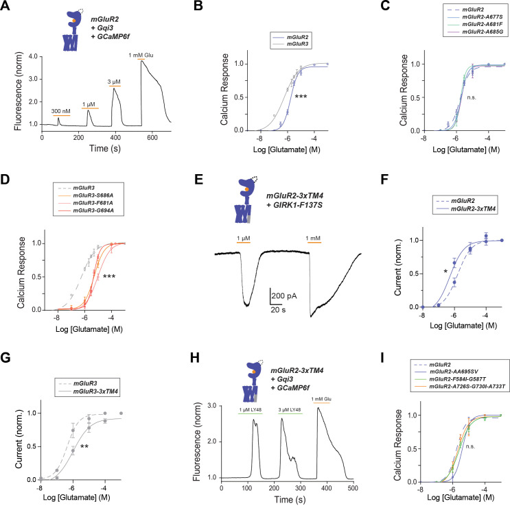 Figure 3—figure supplement 1.