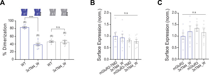 Figure 3—figure supplement 2.