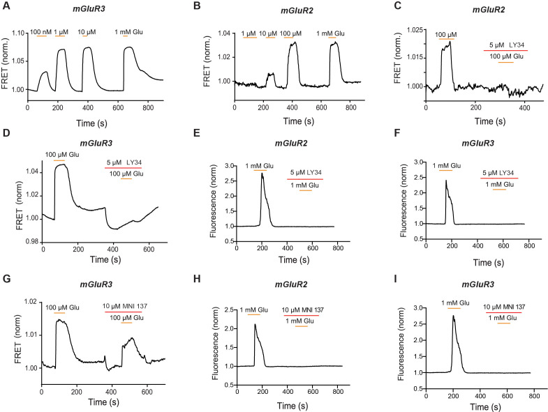 Figure 4—figure supplement 3.