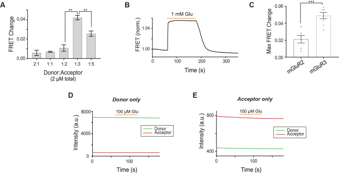 Figure 4—figure supplement 2.