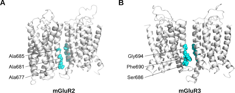 Figure 2—figure supplement 3.