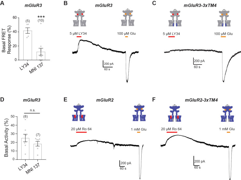 Figure 4—figure supplement 4.