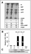 FIG. 6.