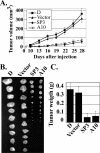 FIG. 8.