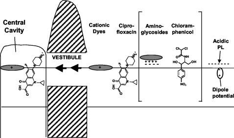 FIG. 5.