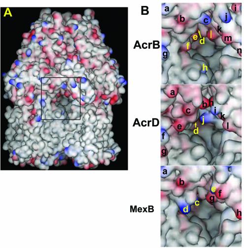 FIG. 6.