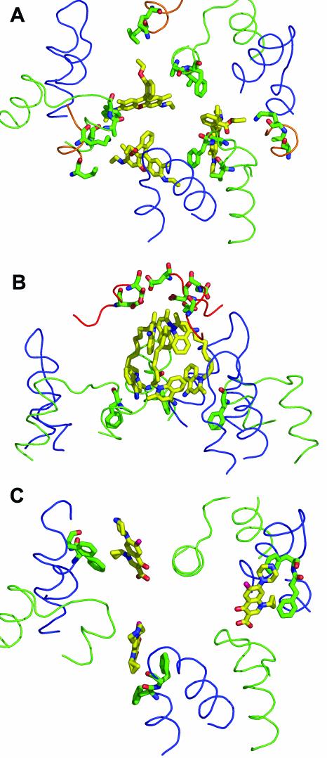 FIG. 3.