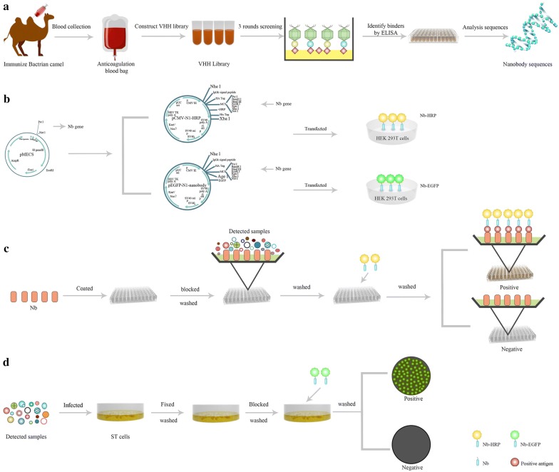 Scheme 1