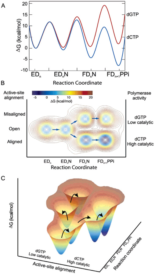 Figure 5: