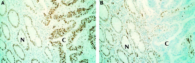 Figure 2  