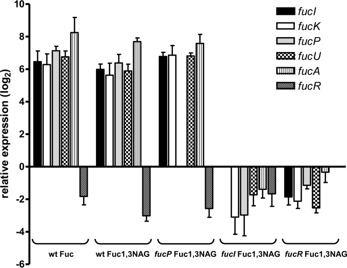 FIG 6