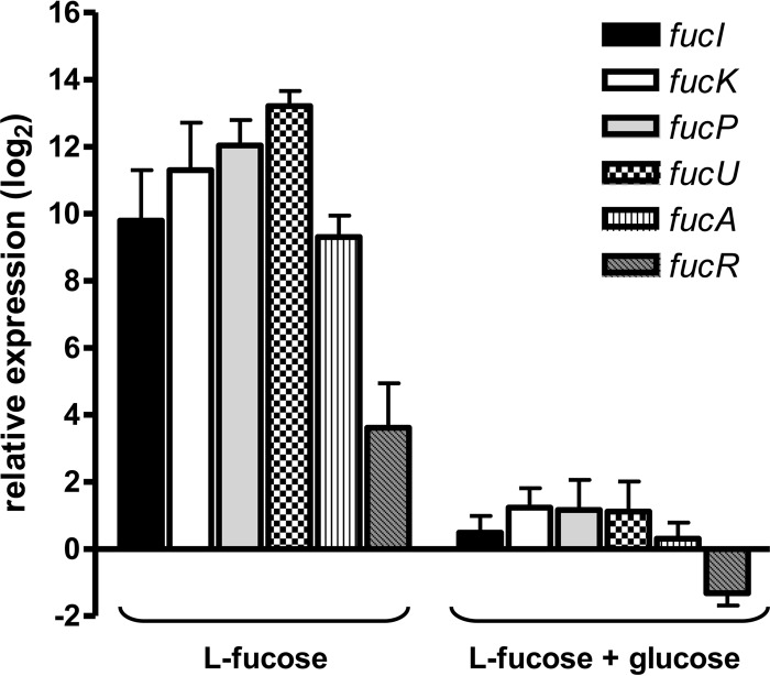 FIG 4