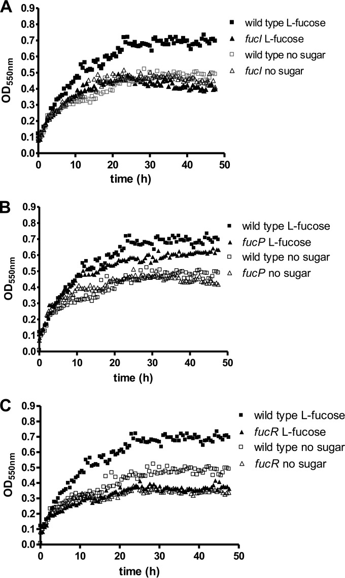 FIG 3