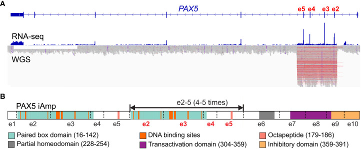 Figure 3