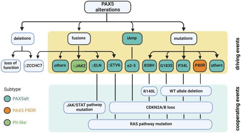 Figure 4