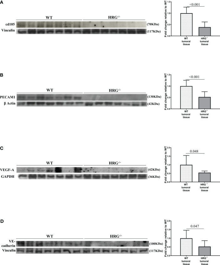 Figure 7