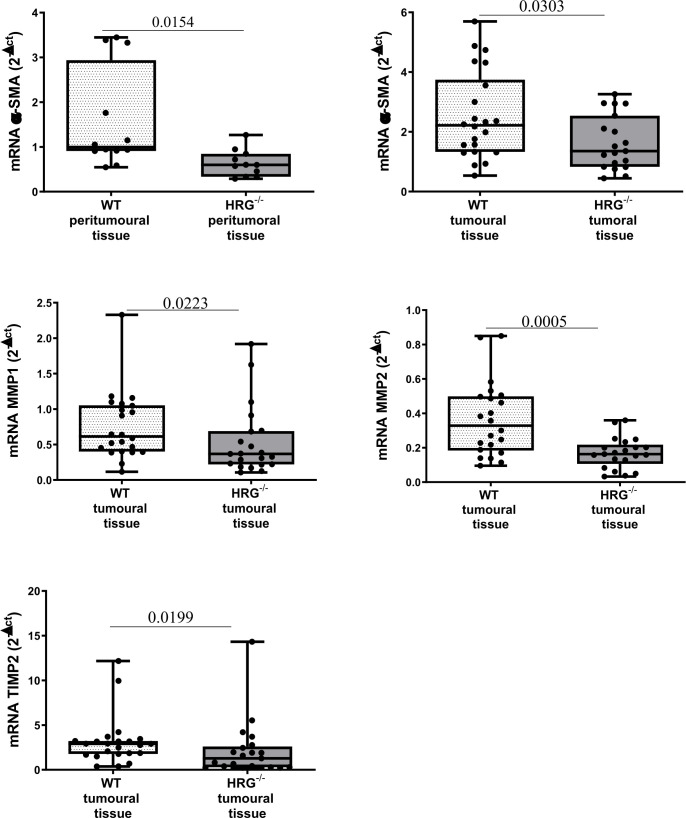 Figure 6