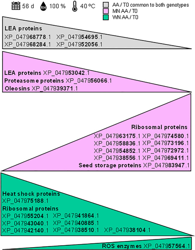 Figure 6