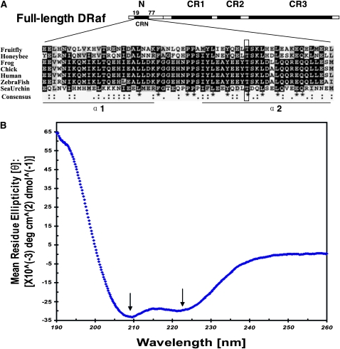 Figure 5.—