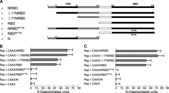 Figure 6.—