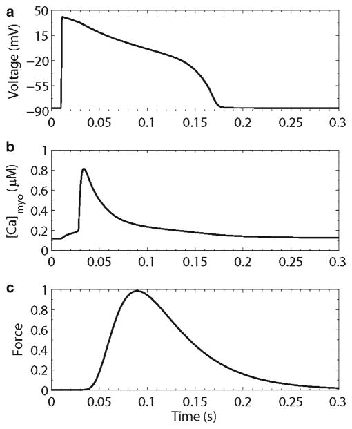 Fig. 7