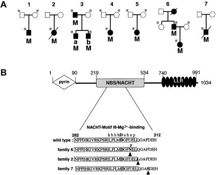 Figure  2