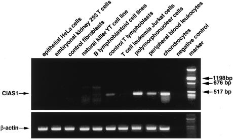 Figure  3