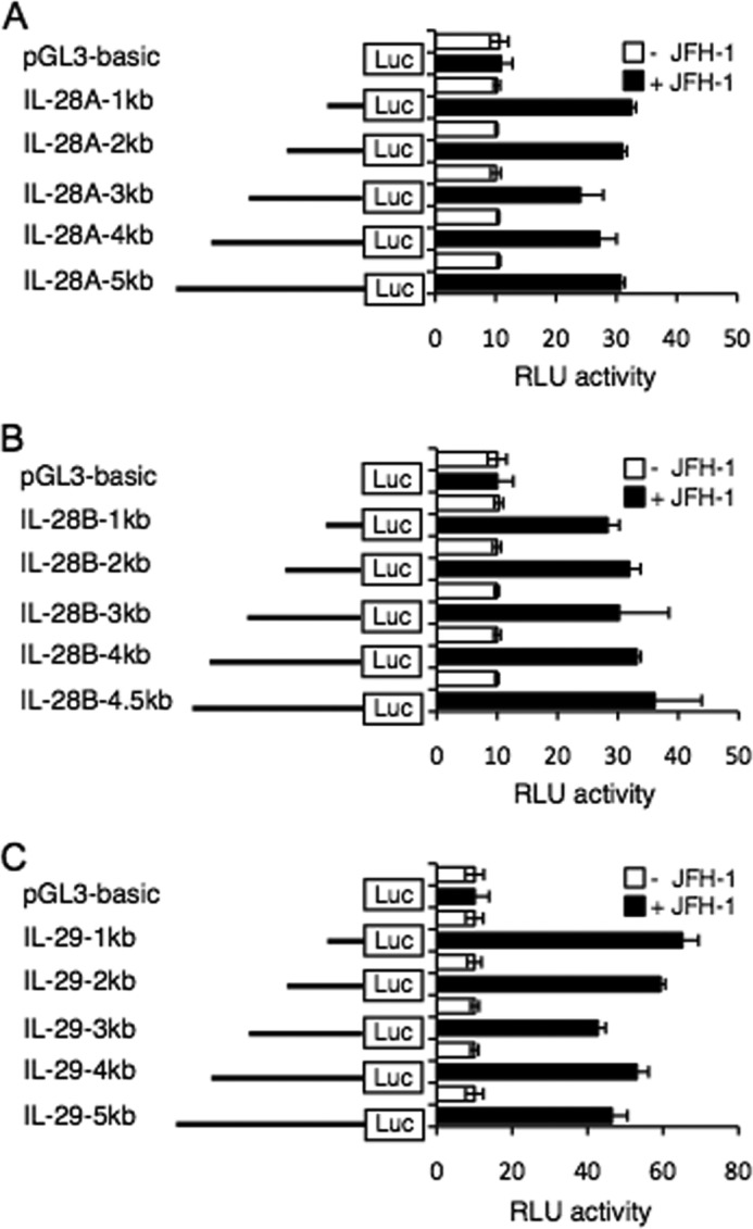 FIGURE 2.