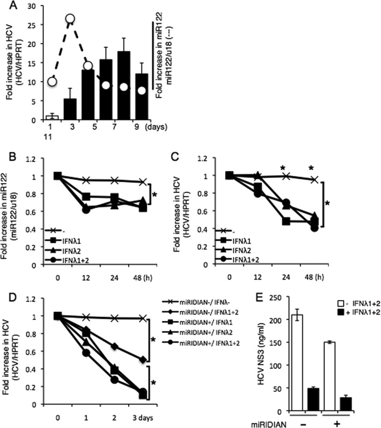 FIGURE 7.