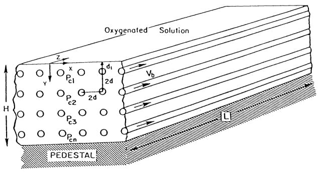 FIGURE 22