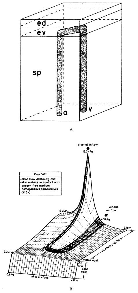 FIGURE 32