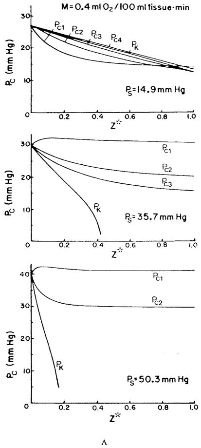 FIGURE 23