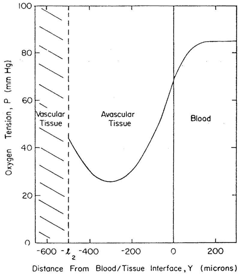 FIGURE 31