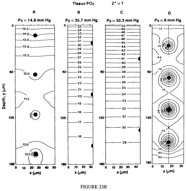 FIGURE 23