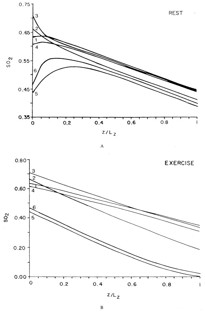 FIGURE 25