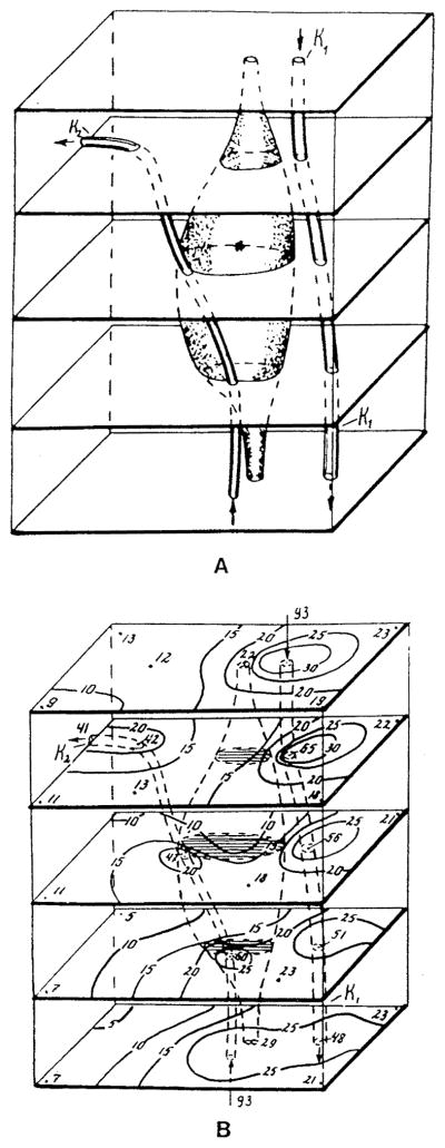 FIGURE 30