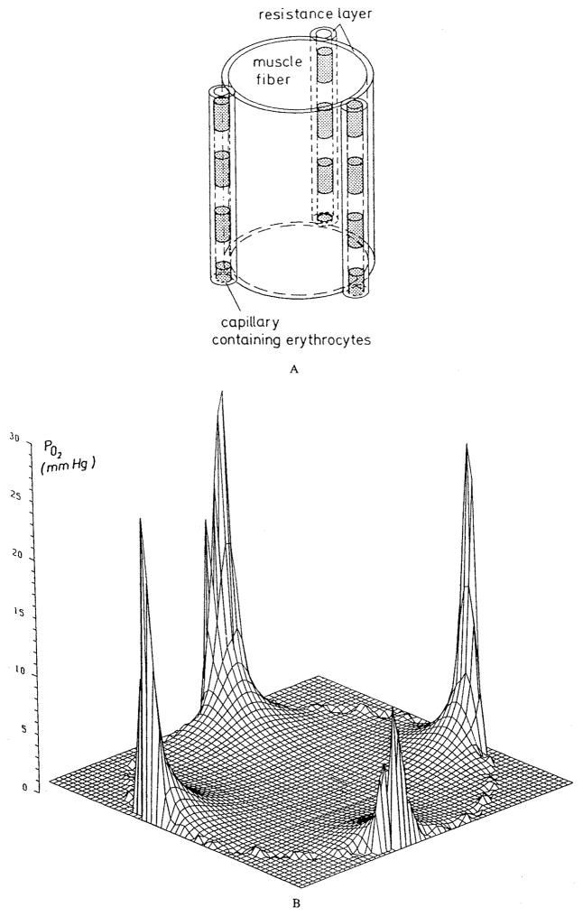 FIGURE 27