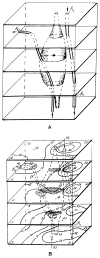 FIGURE 30