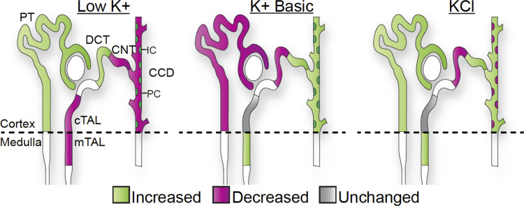 Fig. 8.