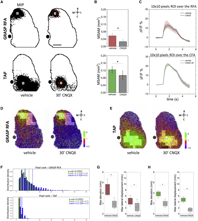 Figure 6