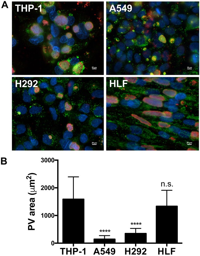 FIG 2