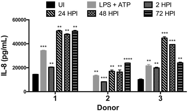 FIG 7